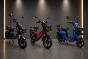 Bicimoto Eléctrica Nova 48V 50Ah