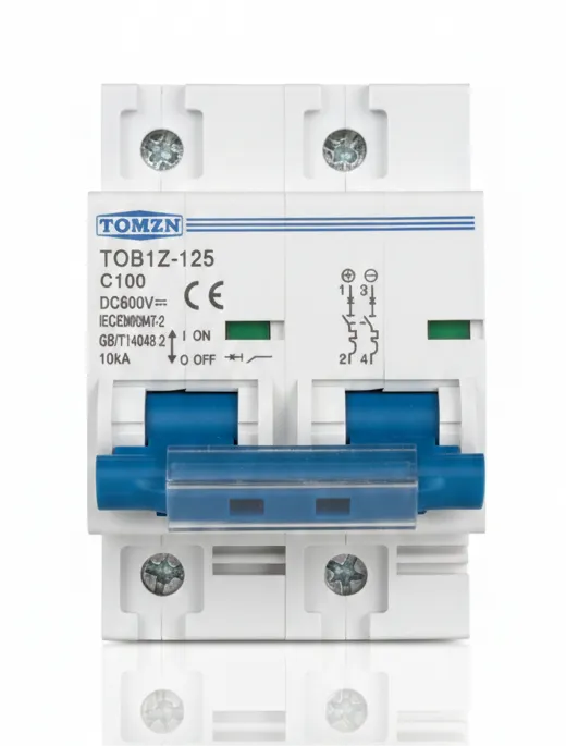 Breaker DC 100A